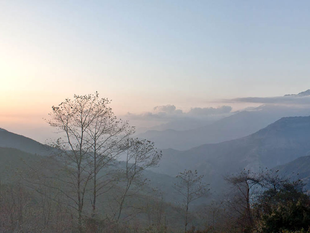 Understanding the Importance of Early Pregnancy Detection