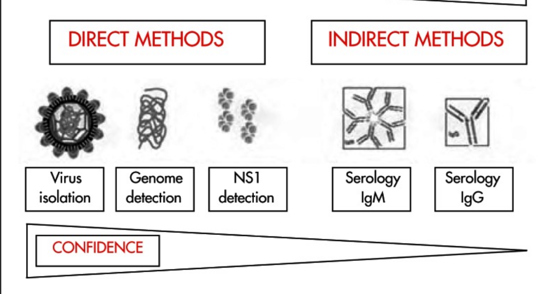 Debunking Combo Tests: NS1 Antigen test for Dengue confirmatory test